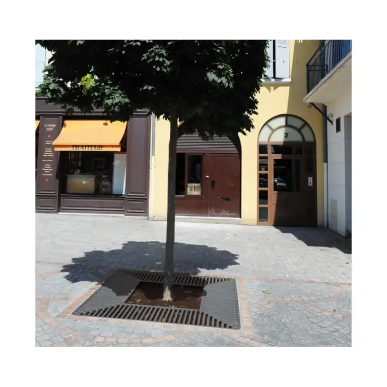 Baumroste Silaos® – Produktansicht 1